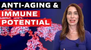 Anti-aging and Immune Potential