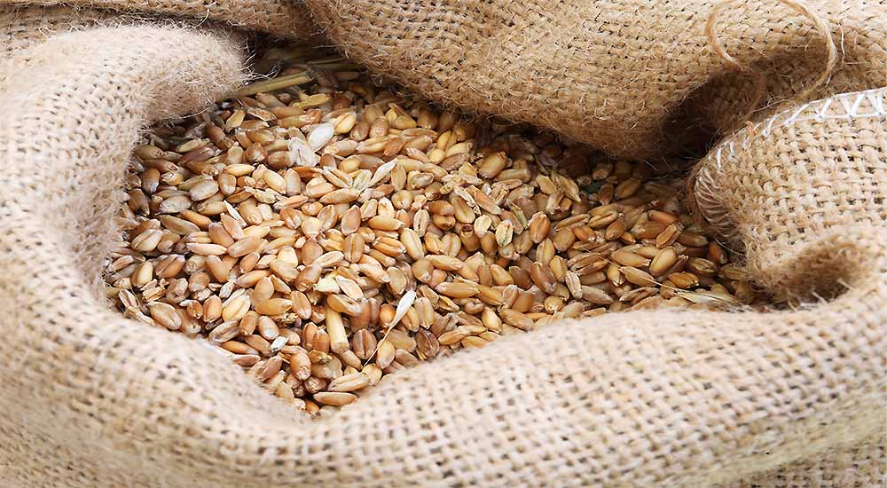 Are Ancient Grains Safe to Eat for Celiacs