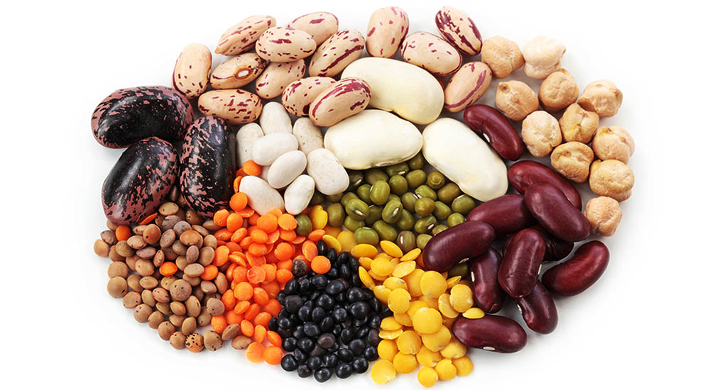 Are Legumes Healthy