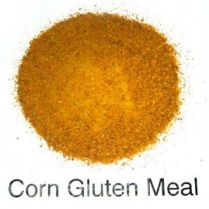 Corn_Gluten_Meal_optimized