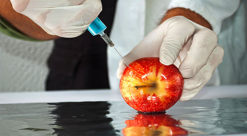 Do GMO Foods Cause Tumors