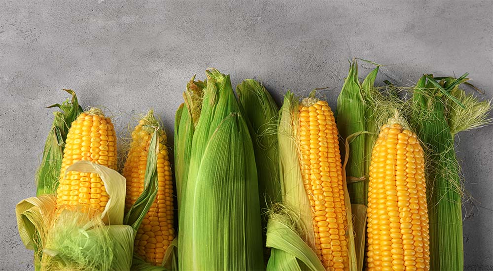 Gluten Intolerant Is Corn Safe to Consume