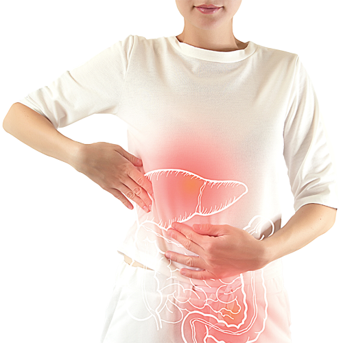 Healing the GI tract is the goal of the gut reset program, a program based in the root cause approach of functional medicine