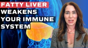 How Fatty Liver Weakens your Immune System