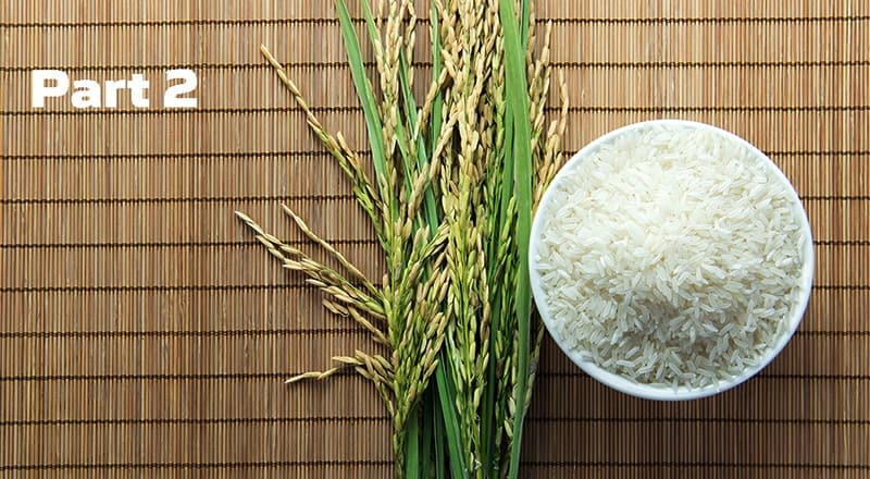 Is Arsenic in Rice a Real Problem Part 2
