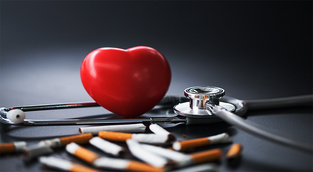 Nine Steps to Decrease Your Heart Disease Risk