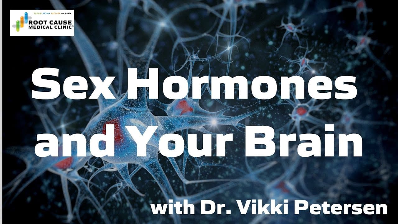 Sex Hormones And Your Brain 2918