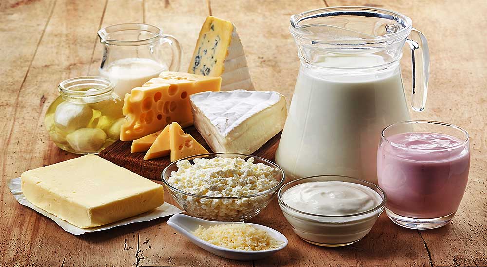 Study Reveals Why Dairy Products are a Bad Idea