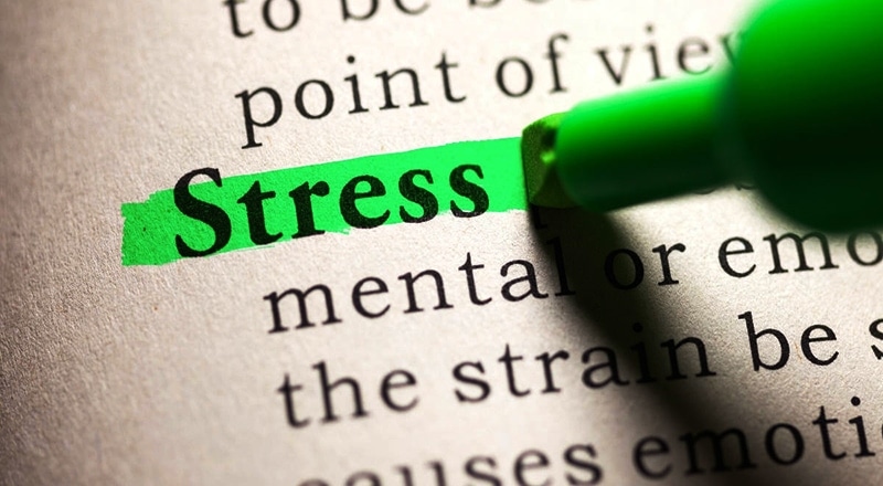 The Effects of Stress on the Body