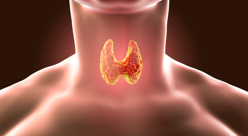 Thyroid