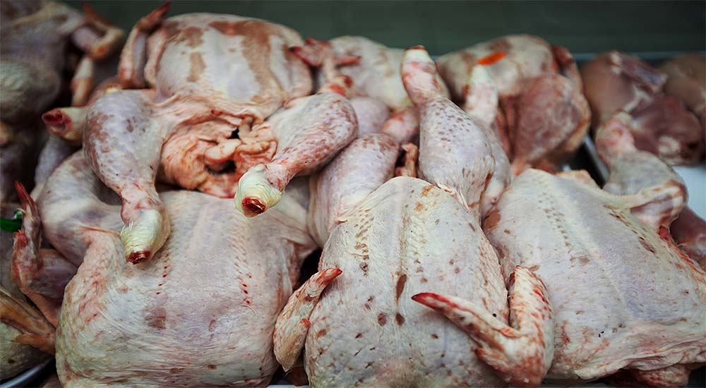 Why Chicken was tainted with Arsenic since 1944