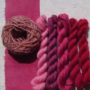 cochineal-large