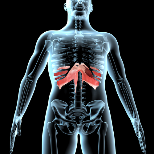 Hiatal Hernia Treatment: Internal and Structural