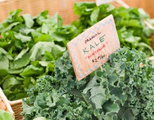 kale-winter-vegetables-optimized